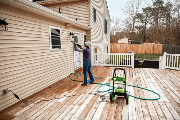 Best House Pressure Washing  in Shenandoah, VA